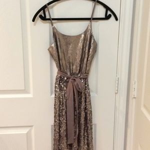 Express sequin dress